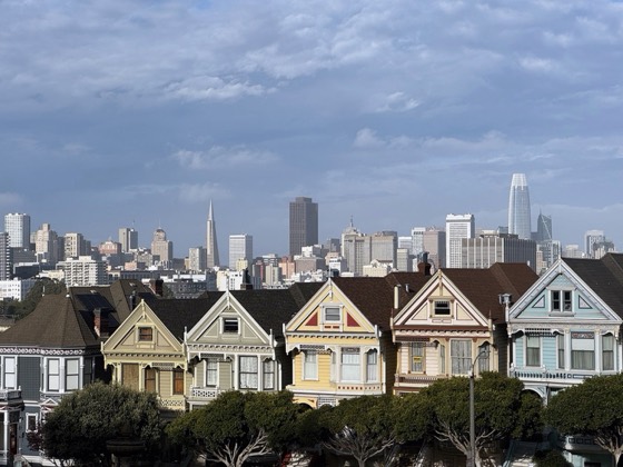 Painted Ladies