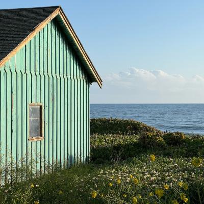Fisherman's Home